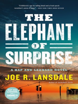 cover image of The Elephant of Surprise
